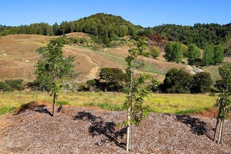 Photo of property in 88 Waere Valley Lane, Warkworth, 0981