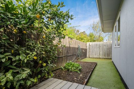 Photo of property in 74d Lakings Road, Yelverton, Blenheim, 7201