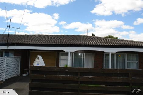 Photo of property in 16c Burrows Street, Tauranga South, Tauranga, 3112