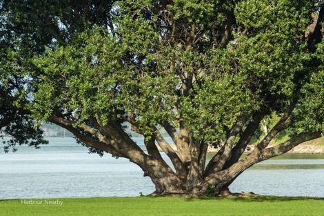 Photo of property in 31c Maxwells Road, Otumoetai, Tauranga, 3110