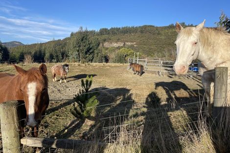 Photo of property in 86 Waitati Valley Road, Upper Waitati, Waitati, 9085