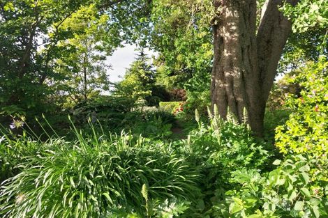 Photo of property in 23 Lee Road, Burbush, Hamilton, 3289