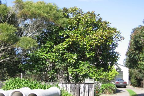 Photo of property in 161 Karewa Parade, Papamoa Beach, Papamoa, 3118