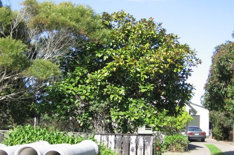 Photo of property in 161 Karewa Parade, Papamoa Beach, Papamoa, 3118