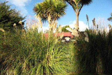 Photo of property in 1 Killarney Street, Waitati, 9085