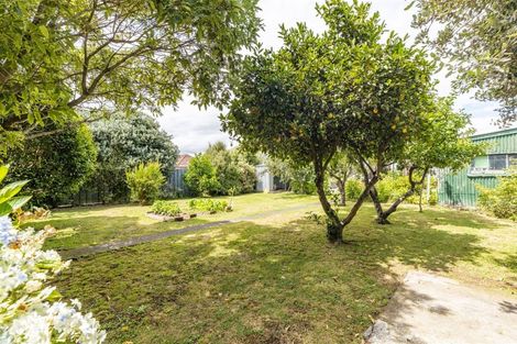 Photo of property in 61 Manson Street, Terrace End, Palmerston North, 4410