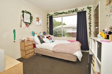 Photo of property in 384 Kahikatea Drive, Dinsdale, Hamilton, 3204