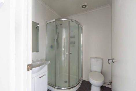 Photo of property in 58 Willoughby Street, Whitiora, Hamilton, 3200