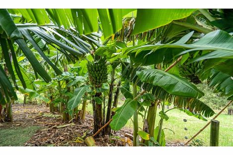 Photo of property in 27 Motutoa Road, Opononi, Kaikohe, 0473