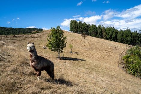 Photo of property in 257 Maungakawa Road, Cambridge, 3496
