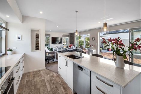 Photo of property in 6 Biggles Place, Lincoln, 7608