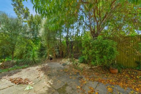 Photo of property in 91c Galloway Street, Hamilton East, Hamilton, 3216