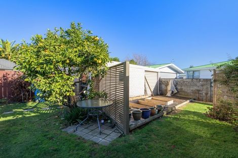Photo of property in 20 Endeavour Street, Riversdale, Blenheim, 7201