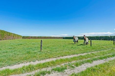 Photo of property in 181 Andersons Road, Leeston, 7682