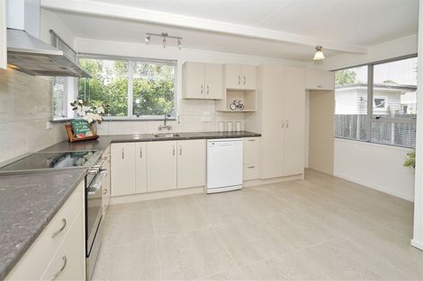 Photo of property in 87a Fox Street, Hamilton East, Hamilton, 3216