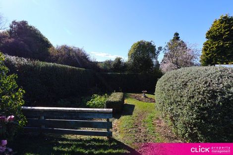 Photo of property in 21 Cockerell Street, Brockville, Dunedin, 9011