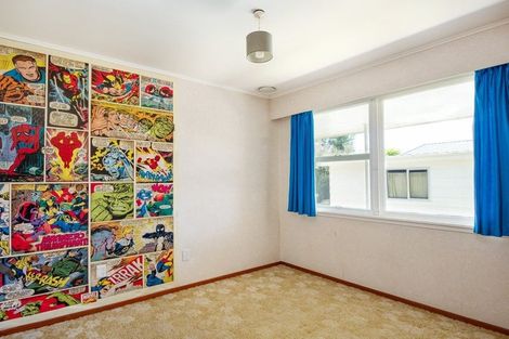 Photo of property in 24 Leefield Street, Blenheim, 7201