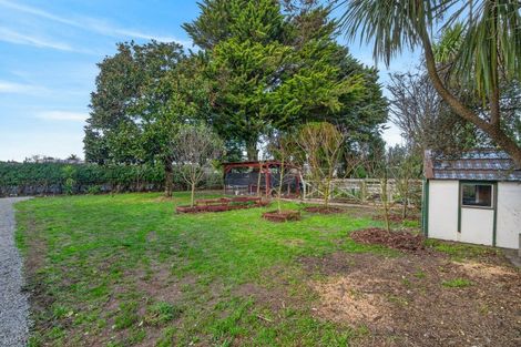 Photo of property in 137 Cockburn Street, Kuripuni, Masterton, 5810