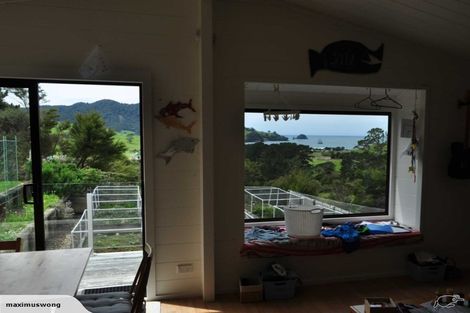 Photo of property in 17 Harbour Lights Terrace, Whitianga, 3592