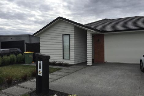 Photo of property in 42 Lulu Avenue, Chartwell, Hamilton, 3210