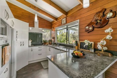 Photo of property in 161 Hauraki Road, Orongo, Thames, 3574