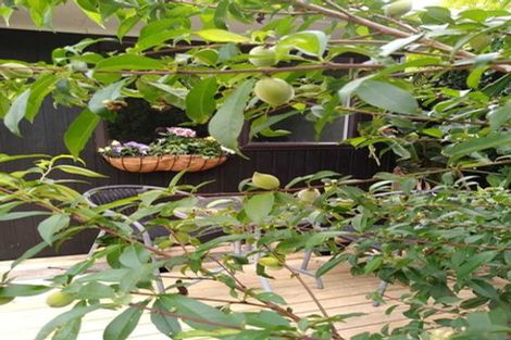 Photo of property in 252 Sturges Road, Henderson, Auckland, 0612