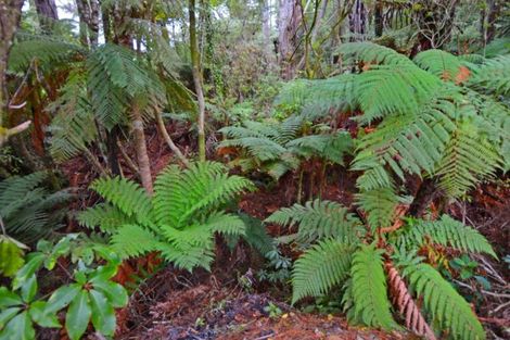 Photo of property in 1290 Akatarawa Road, Akatarawa, Upper Hutt, 5372