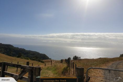 Photo of property in 225 Ngatitangata Road, Waihi, 3681