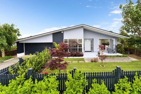 Photo of property in 3 Delamare Road, St Andrews, Hamilton, 3200