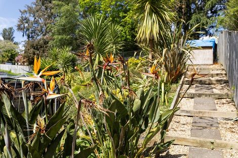 Photo of property in 14 Rimu Avenue, Huntly, 3700