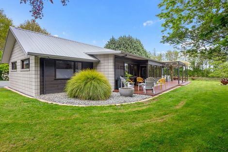 Photo of property in 27a Sheffield Street, Matamata, 3400