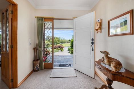 Photo of property in 17 Fenton Terrace, Te Puke, 3119