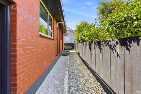 Photo of property in 20 Albert Street, Saint Clair, Dunedin, 9012
