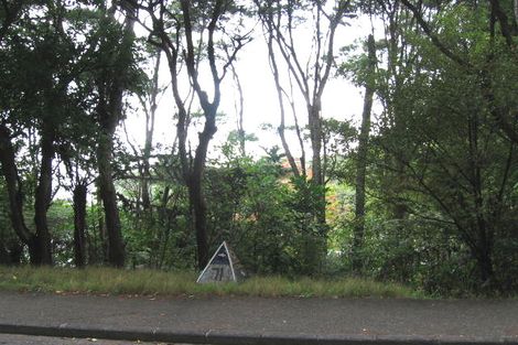 Photo of property in 71 Wood Bay Road, Titirangi, Auckland, 0604