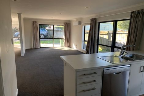 Photo of property in 6a Williams Place, Fairfield, Hamilton, 3214