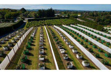 Photo of property in 581 Kerikeri Road, Kerikeri, 0293