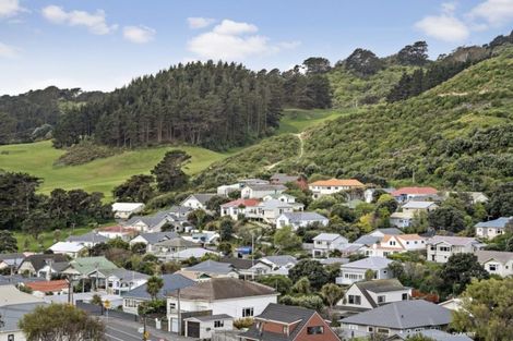 Photo of property in 43a Rhine Street, Island Bay, Wellington, 6023