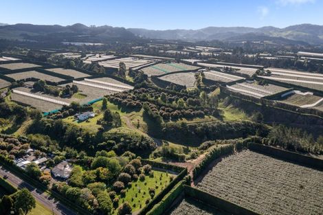 Photo of property in 612 No 1 Road, Te Puke, 3182