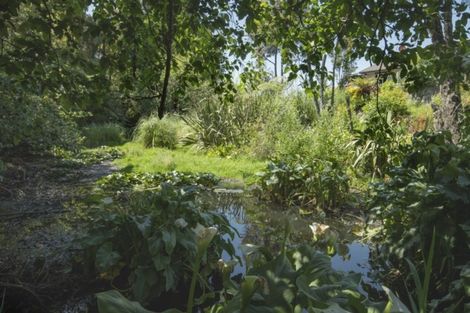 Photo of property in 109a Park Road, Katikati, 3129