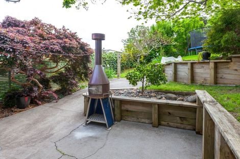 Photo of property in 105 Brunton Crescent, Thames, 3500