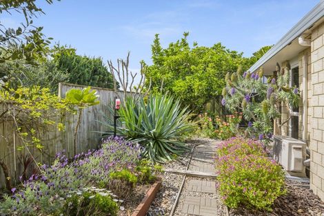 Photo of property in 43 Quadrant Heights, Paraparaumu, 5032