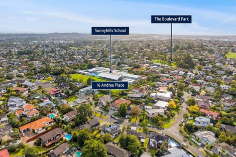 Photo of property in 16 Andrea Place, Sunnyhills, Auckland, 2010