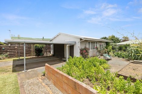Photo of property in 25 David Street, Morrinsville, 3300