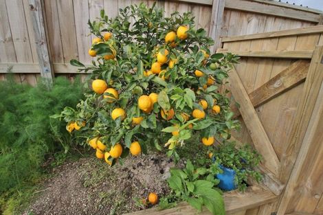 Photo of property in 2 Halyard Loop, Haruru, 0204