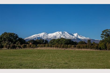 Photo of property in 164 Matapuna Road, Horopito, Raetihi, 4696