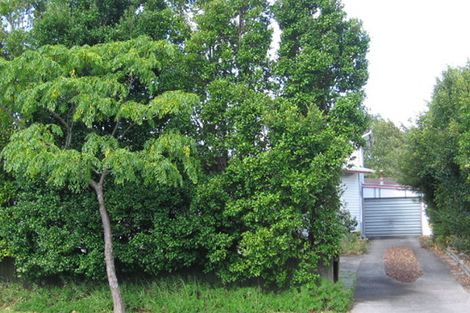 Photo of property in 29 Universal Drive, Henderson, Auckland, 0610