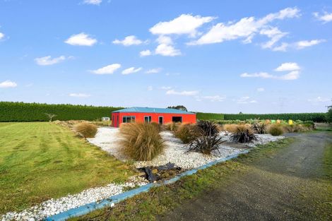 Photo of property in 403 Mill Road North, Myross Bush, Invercargill, 9876