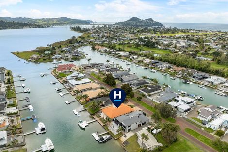 Photo of property in 125 Motu Capri, Pauanui, Hikuai, 3579