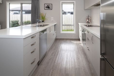 Photo of property in 58 Braebrook Drive, Netherby, Ashburton, 7700