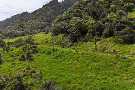 Photo of property in 294 State Highway 67, Hector, 7891